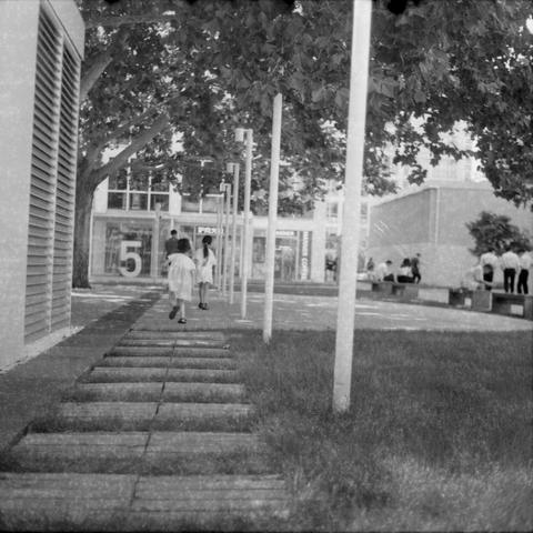 Ilford HP5 Plus 400 (6x6)

English Alt Text:
A black-and-white photograph of a campus-like outdoor space. A paved walkway made of rectangular stone slabs leads toward a modern building with large glass windows. A bold number “5” is displayed on the building’s facade. Several vertical poles line the walkway, possibly lights. Two people walk away from the camera, while a group gathers near a bench on the right. Large trees with broad leaves provide shade, creating a calm, structured environment.
…