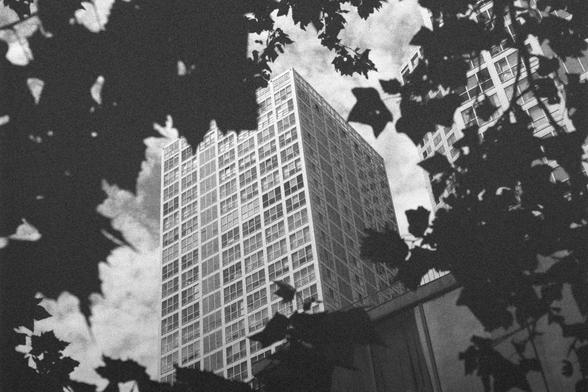 Ilford HP5 Plus 400 (FF)

English Alt Text:
A dramatic black-and-white photo of a tall high-rise building viewed from below. The building’s grid of windows stretches upward, framed by the dark silhouettes of tree leaves in the foreground. Another building is partly visible on the right. The sky is filled with textured clouds, adding depth and atmosphere. The contrast between rigid urban architecture and organic tree shapes creates a timeless, artistic mood.

中文替代文字：
一张黑白照片，从低角度拍摄一栋高层建筑。整齐的窗格向上延…