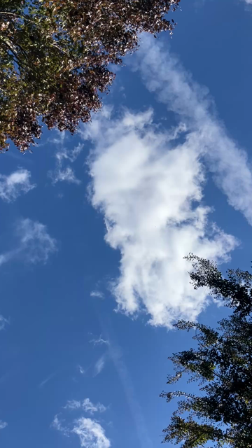 White clouds slow scud across a very bright blue sky. 