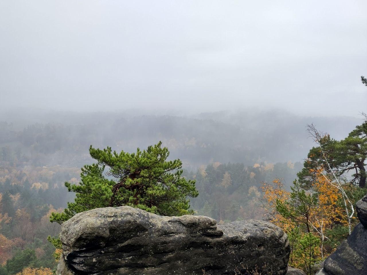 Posted media