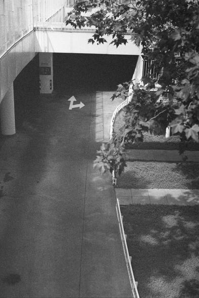 Ilford HP5 Plus 400 (FF)

English Alt Text:
A monochrome photograph of a parking garage entrance ramp. The ramp curves downward into a dark tunnel beneath a building. A white arrow painted on the ground indicates two-way traffic. On the left, a ticket machine is mounted on a column. To the right, a grassy area with a tree casts shadows across the scene, separated from the ramp by a railing. The composition highlights the contrast between light and shadow, guiding the viewer’s eye into the tunne…