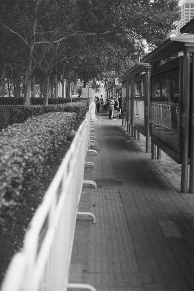 Ilford HP5 Plus 400 (FF)

English Alt Text:
A monochrome photo of a pedestrian walkway. Several people walk or stand along the path, enclosed by a metal railing. Large trees with thick trunks and leafy branches partially obscure the view, blending nature with the urban setting. In the background, modern buildings with glass and metal facades rise, suggesting a city or campus environment. The image captures everyday life, with people casually moving through a public space where architecture and …