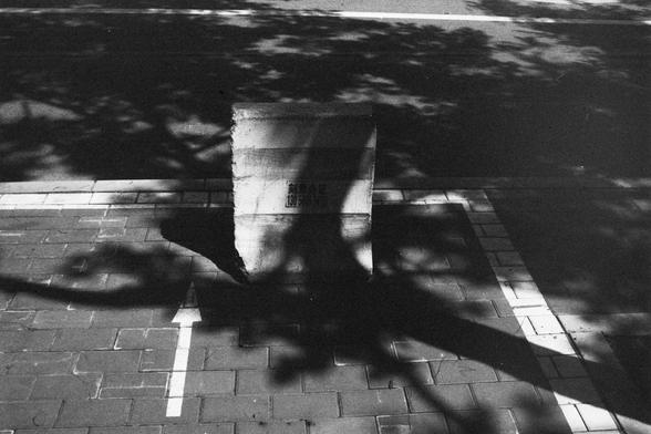 ERA 100 (FF)

English Alt Text:
A black-and-white photograph of a sidewalk made of rectangular bricks. A concrete block sits on the pavement, casting a sharp shadow. Sunlight filters through tree branches above, creating intricate shadow patterns across the ground. White painted lines and arrows are visible nearby, possibly marking a parking or designated area. The interplay of light, shadow, and geometry gives the scene a striking, abstract quality.

中文替代文字：
一张黑白照片，画面是一条由长方形砖块铺成的人行道。人行道上放置着一个混…