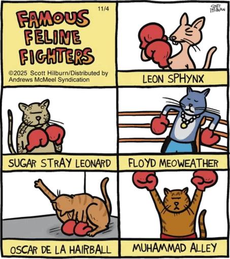 Cartoon. Famous Feline Fighters.
Five cartoon cats with boxing gloves on their front paws, in various poses, labeled Leon Sphinx, Sugar Stray Leonard, Floyd Meoweather, Oscar de la Hairball, and Muhammad Alley.