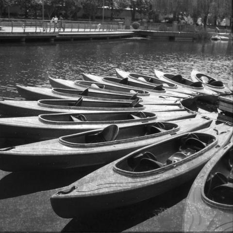 Ilford HP5 Plus 400 (6x6)

English Alt Text:
A black-and-white landscape photograph shows a group of canoes arranged in a radial pattern on a calm lake. The pointed ends of the canoes face outward, forming a circular shape. The water is still, reflecting the boats faintly. In the background, a pedestrian bridge crosses the lake, with a few people walking across. Trees and greenery line the far shore. The image has a vintage feel and emphasizes symmetry and tranquility in a recreational setting.…
