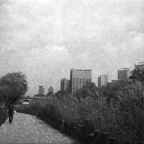 Ilford HP5 Plus 400 (6x6)

English Alt Text:
A black-and-white photograph in portrait format shows a quiet urban walkway. On the left, a person walks alone along a paved path bordered by short wooden posts. Tall grasses grow densely on the right side of the path. A leaning tree with sparse branches adds a natural touch to the foreground. In the background, several tall buildings rise above the treetops, suggesting a city skyline. The sky is overcast, with a grainy texture that adds moodiness to…