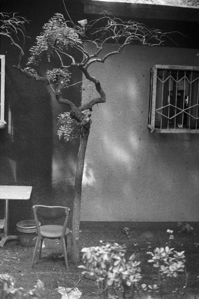 Fujifilm NEOPAN SS (FF)

English Alt Text: A black-and-white photo depicts a small outdoor area with a thin, twisted tree in the foreground. Beneath it sits a simple chair with a curved backrest and a table partially visible to the left. A plastic bucket rests under the table. The background features a building wall with a barred window and another window partially seen. The ground is grassy with scattered debris and small plants. The scene blends natural and man-made elements, evoking quiet so…