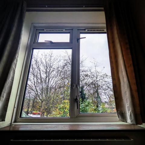 Looking through a three-panelled window three hours after sunrise, we can see a few green bushes and some leafless trees. A red car and a bus are passing on the road behind the trees. The sky is full of dense grey clouds. 