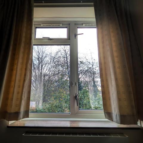 Looking through a three-panelled window three hours after sunrise, we can see a few green bushes and some leafless trees. The sky is blank and grey.
