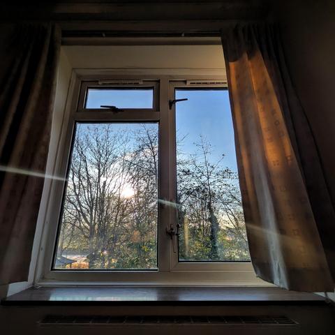 Looking through a three-panelled window two hours after sunrise, we can see a few green bushes and some leafless trees. The sky is pale blue. The sun is visible through the trees, making a horizontal curved lens flare.
