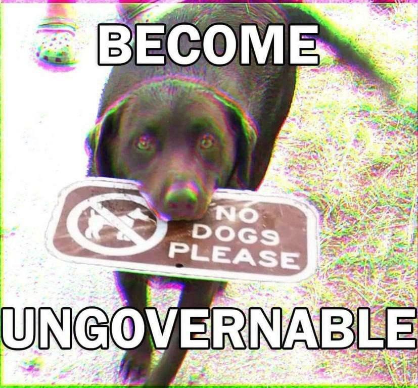 dog carrying a no dogs sign in mouth
Become ungovernable.