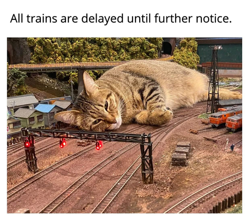 All trains are delayed until further notice.
Photo of a cat stretched out sleeping on a model train set.