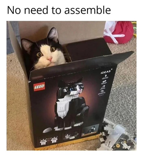 Picture of a cat in a box. The box is for a Lego kit to make a cat.
No assembly needed.
