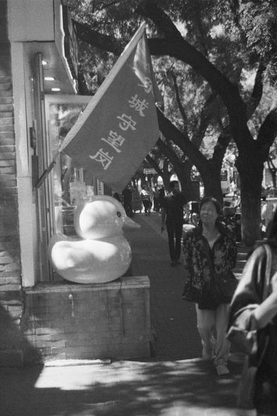 Ilford HP5 Plus 400 (FF)

English Alt Text: A black-and-white street scene shows pedestrians walking under tree shade along a sidewalk. On the left, a storefront features a large decorative duck sculpture placed on a ledge. Above it, a flag with Chinese characters reads “East City Watch Post.” The image captures daily urban life, with people casually strolling and engaging with their surroundings. The duck and flag add cultural and whimsical elements to the otherwise ordinary setting.

中文替代文字：
…