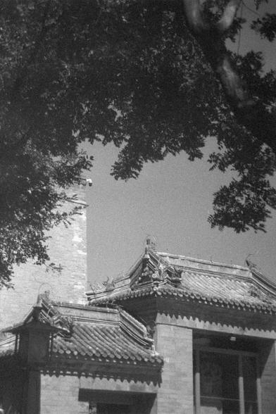 Ilford HP5 Plus 400 (FF)

English Alt Text:
A black-and-white photograph of a traditional East Asian architectural structure, likely a temple or historic building. The roof features curved eaves and intricate carvings typical of Chinese design. The building is made of brick and surrounded by large tree branches and leaves, suggesting a garden or wooded setting. The image evokes a sense of cultural heritage and tranquility.

中文替代文字：
这是一张黑白照片，展示了一座传统东亚建筑，可能是寺庙或历史建筑。屋顶呈弯曲飞檐，边缘雕刻精美，具有典型的中国风格。建筑由砖砌成…