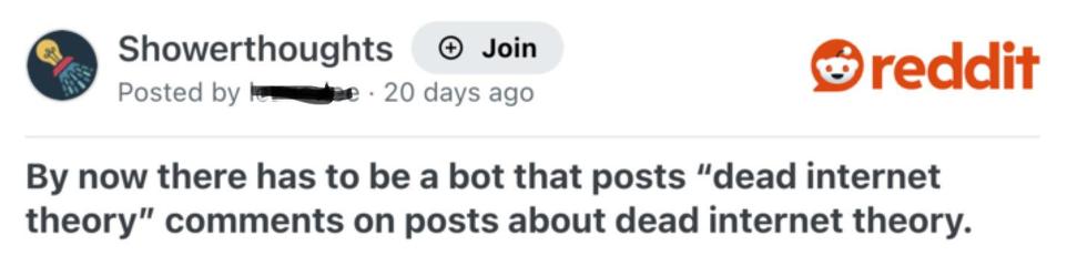 Screenshot from Reddit:
Showerthoughts
By now there has to be a bot that posts “dead internet theory” comments on posts about dead internet theory.