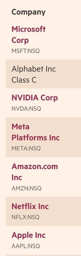 Listing of companies, in order Microsoft, Alphabet, NVIDIA, Meta Amazon....