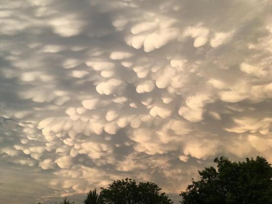 Photo of mammatus clouds, typically seen after hail storms. Characterized by the appearance of bulbous clouds hanging down, somewhat like breasts. Gray and white overall with treetops at bottom of image. June 2018.