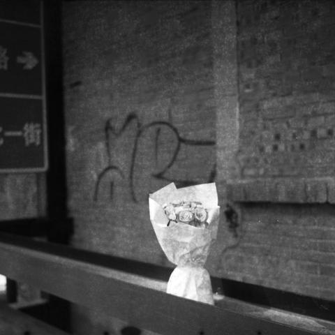 Ilford HP5 Plus 400 (6x6)

English Alt Text: A black-and-white photo of a bouquet of roses wrapped in paper, placed on a metal railing in an urban setting. Behind the flowers is a brick wall covered in graffiti. A street sign with Chinese characters and an arrow pointing right is partially visible. The characters read “一街,” meaning “First Street.” The contrast between the delicate roses and the gritty urban background evokes a sense of beauty amid decay or sentiment in a harsh environment.

中文替…