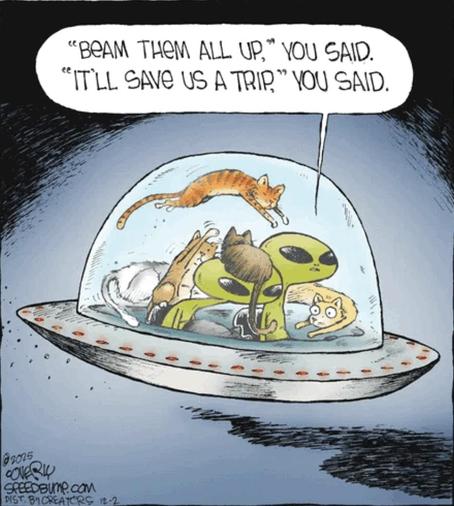 Single panel cartoon.
Little green aliens are flying in a UFO. Several cats are splayed all over under the clear dome. One alien is saying to the other, “Beam them all up,” you said. “It’ll save us a trip,” you said.