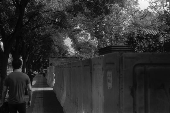 Ilford Pan 100 (FF)

English Alt Text:
A black-and-white photograph of a quiet urban sidewalk lined with tall trees casting shadows on the path. Several people walk along the sidewalk, including one person holding an umbrella. On the right side, a long row of concrete barriers separates the walkway from a wooded or residential area. The scene evokes a calm, everyday moment in a city, with natural light filtering through the trees and people moving at a relaxed pace.

中文替代文本：
一张黑白照片，展示一条安静的城市人行道…