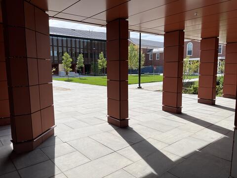Modern building columns with a view into a sunny plaza with young trees and grass.