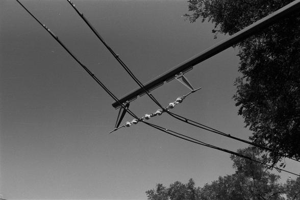 Ilford Pan 100 (FF)

English Alt Text: Black-and-white image of electrical infrastructure showing power lines supported by a metal structure. A chain of disc-shaped insulators holds the lines in place. The metal frame includes brackets and hardware connecting the wires. Tree branches appear in the corners, and the sky is clear. The photo emphasizes the engineering behind power distribution in a suburban or rural setting.

中文替代文字：
这是一张黑白照片，展示了电力基础设施，电线由金属结构支撑。一串圆盘状绝缘体固定电线，金属架上有连接电线的支架和配件。画面角落可见树…