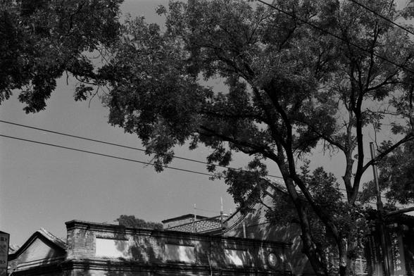 Ilford Pan 100 (FF)

English Alt Text: Black-and-white photo of a quiet street lined with tall trees and traditional Chinese buildings. The buildings have brick walls and sloped tiled roofs, casting shadows from the tree canopy above. Overhead power lines stretch across the scene. A vertical sign with Chinese characters. The atmosphere is calm and nostalgic, evoking a sense of old Beijing.

中文替代文字：
这是一张黑白照片，描绘了一条宁静的街道，街道两旁是高大的树木和传统的中式建筑。建筑采用砖墙和斜坡瓦屋顶，树影洒在墙面上，增添了层次感。电线横跨街道上方，一块竖立的招牌。画面氛围宁静而怀旧，展现了…