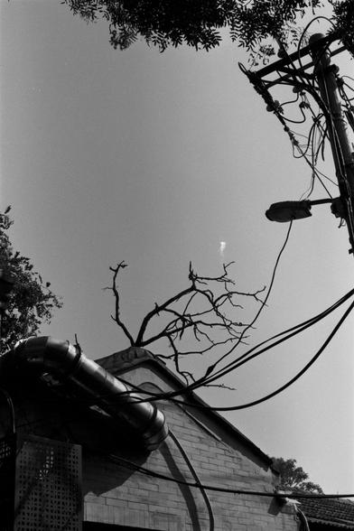 Ilford Pan 100 (FF)

English Alt Text: A black-and-white upward view through tree branches silhouetted against the sky. Below, buildings are partially visible, one with a satellite dish and rooftop fencing. Power lines stretch horizontally across the scene. The image contrasts nature and urban infrastructure, with leaves and branches framing the top.

中文替代文字：
黑白照片，仰视视角穿过树枝，枝叶在天空中形成剪影。下方部分建筑可见，其中一栋屋顶有卫星天线和围栏。电线横穿画面。画面呈现自然与城市基础设施的对比，树叶和枝条构成顶部边框。