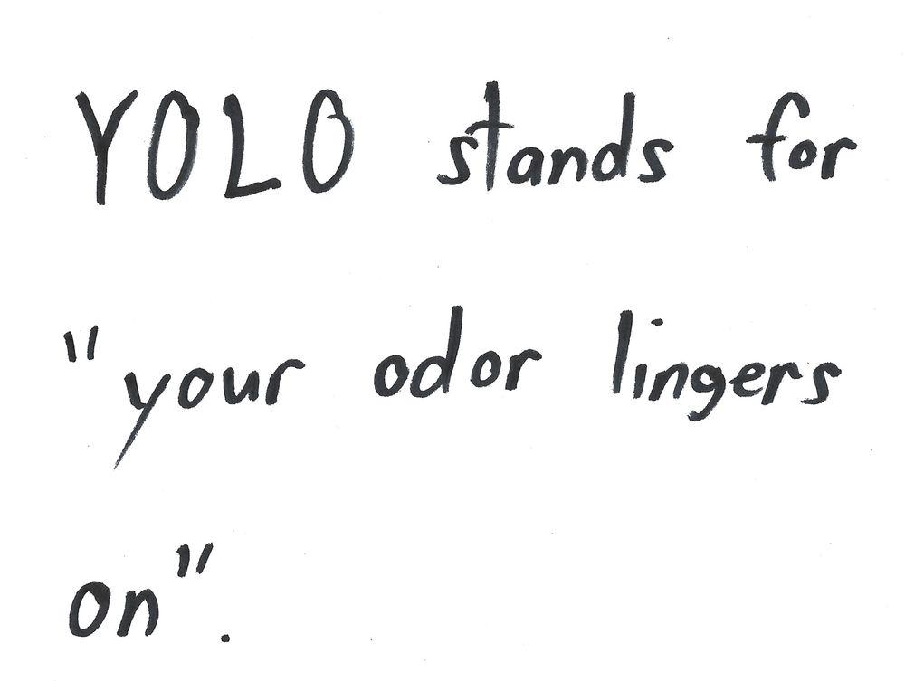 YOLO stands for
"your odor lingers
Do
on