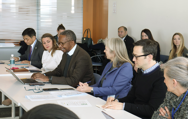 Lise Fuhr, GÉANT CEO, at the United Nations General Assembly for the #WSIS20 High-Level Meeting, side event