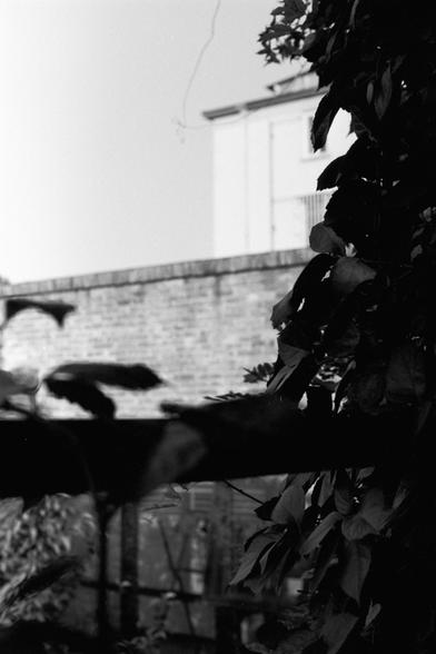 Ilford Pan 100 (FF)

English Alt Text: A black-and-white photograph showing an outdoor scene. In the foreground, dark leaves and branches partially obscure the view, creating a shadowy frame. Behind them, a horizontal brick wall stretches across the image. Above the wall, a light-colored building with a flat roof and shuttered windows stands in bright contrast. The interplay of light and shadow adds depth, with the leaves appearing almost silhouetted against the brighter background. The composi…