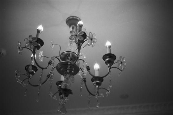 Ilford Pan 100 (FF)

English Alt Text:
A decorative chandelier hangs from the ceiling, featuring multiple curved arms that each hold a light bulb shaped like a candle flame. The chandelier is adorned with flower-shaped glass ornaments and dangling crystal-like beads, creating an elegant and vintage aesthetic. The lights are turned on, casting a warm glow that highlights the intricate details of the design. The overall atmosphere is refined and classic, suitable for a formal interior setting.

中…