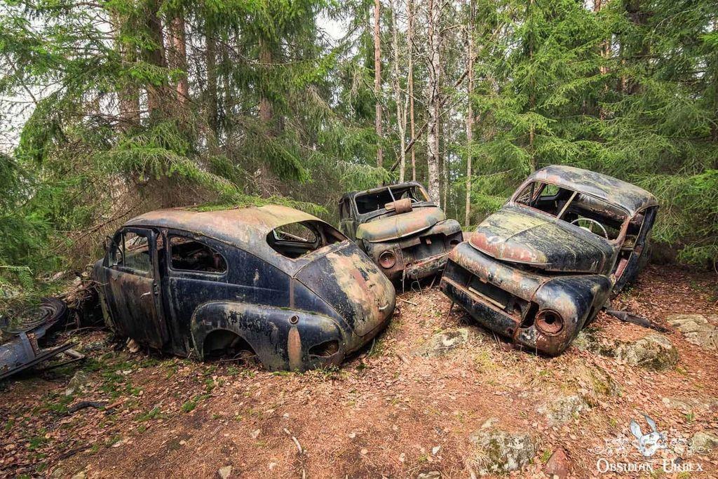 three rusted old cars in the forest 