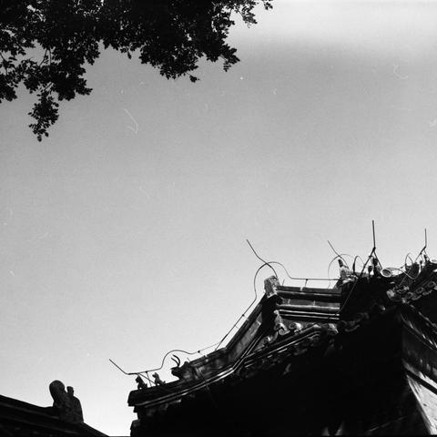 Lucky SHD 400 (6x6)

English Alt Text:
A black-and-white image highlights the intricate roofline of a traditional East Asian temple or historic building. The roof features curved tiles, carved animal figures, and decorative ridges. Above the structure, the sky is clear, and tree branches stretch into view from the top edge. The contrast between the dark architectural details and the bright sky emphasizes craftsmanship and cultural richness. The photo evokes reverence for heritage and artistry.
…