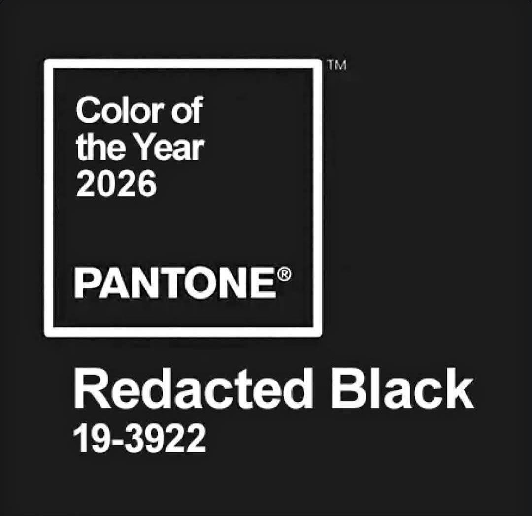 Color of the Year 2026
PANTONE®
Redacted Black

