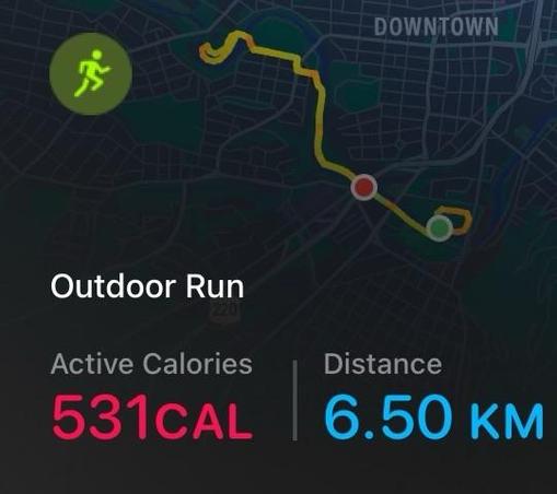 An activity tracking screenshot displaying details of an outdoor run. It shows "Outdoor Run" as the activity type, with active calories burned listed as 531 CAL and a total distance of 6.50 KM, accompanied by a map route.