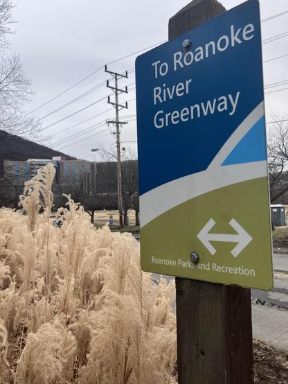 A sign indicating directions to the Roanoke River Greenway, featuring the Roanoke Parks and Recreation logo. The background includes tall grasses and utility poles, with a faint view of buildings and a park area. The sky is overcast.