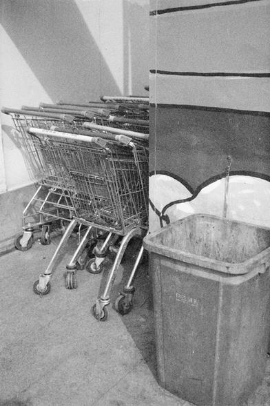 Ilford HP5 Plus 400 (FF)

English Alt Text: A black and white image showing a group of metallic shopping carts nested together beside a large plastic trash bin labeled “BRUTE.” The carts are aligned in a corner, suggesting they’ve been returned after use. Behind them, a wall is painted with abstract curved shapes, adding visual interest. The scene captures a mundane yet essential part of retail life, framed in a stark monochrome tone.

中文替代文字：
这是一张黑白照片，展示了一组金属购物车整齐地嵌套在一起，旁边是一个标有“BRUTE”的大型塑料垃圾桶。…