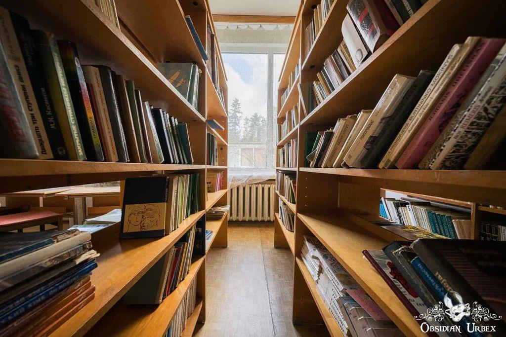 A low-angle photograph shows two towering wooden bookshelves in a room lit by a window. The shelves are full of old books