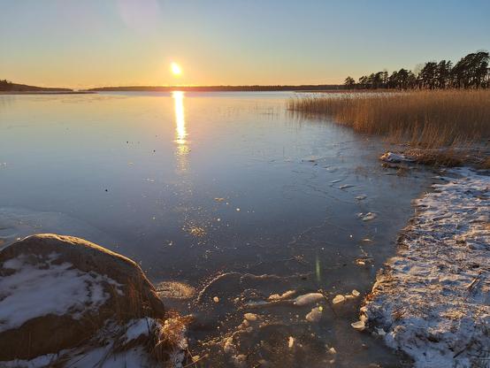 Rannalla peilikirkas jää, rusehtava kaislikko kuvan kulmassa. Pilvettömällä taivaalla aurinko laskee horisonttiin ja heijastaa pitkän kuvajaisensa juuri jäätyneeseen veteen