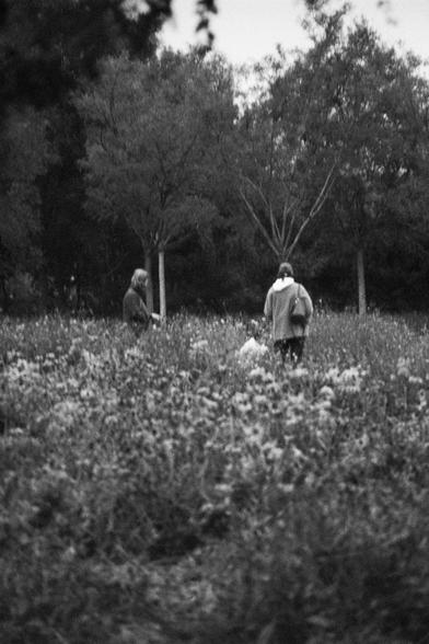 ERA 100 (FF)

English Alt Text:
A black-and-white photo captures a serene outdoor scene with tall grass and trees. Three people are present: one stands on the left, another walks away in the center, and a third crouches or sits nearby. All are dressed for cool weather. The image conveys solitude, quiet exploration, and a peaceful connection with nature.

中文替代文字：
这张黑白照片展现了一个宁静的户外场景，前景是高草，背景是树木。画面中有三人：一人在左侧站立，一人在中央背对镜头行走，另一人蹲坐在附近。他们穿着适合凉爽天气的衣物。画面传达出孤独、探索和与自然和平相处的氛围。