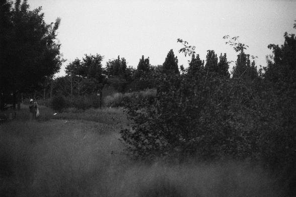 ERA 100 (FF)

English Alt Text:
A black-and-white photo shows a person standing near a tree in a densely vegetated area. The person wears a hat and holds a bag, possibly collecting or hanging something. Tall grasses and trees fill the scene, creating a misty, mysterious atmosphere. The image suggests quiet activity in nature.

中文替代文字：
这是一张黑白照片，画面中一人站在树旁，周围是茂密的植被。此人戴帽子，手持一个袋子，似乎在采集或悬挂物品。高草和树木充满整个画面，营造出朦胧而神秘的氛围。画面暗示着在自然中进行的安静活动