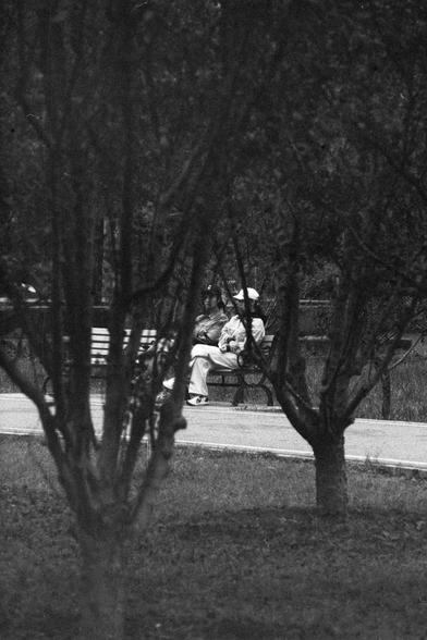 ERA 100 (FF)

English Alt Text:
A black-and-white photograph depicts two individuals sitting on a bench in a park. Trees in the foreground partially obscure the view. The bench is on a paved path surrounded by grass and trees. The two people appear to be talking or quietly sitting together. The scene feels peaceful and contemplative.

中文替代文字：
这张黑白照片展示了两人坐在公园的长椅上。前景中的树木部分遮挡了视线。长椅位于铺设的小路上，周围是草地和树木。两人似乎在交谈或静静地坐着。整个场景宁静而富有沉思气息。