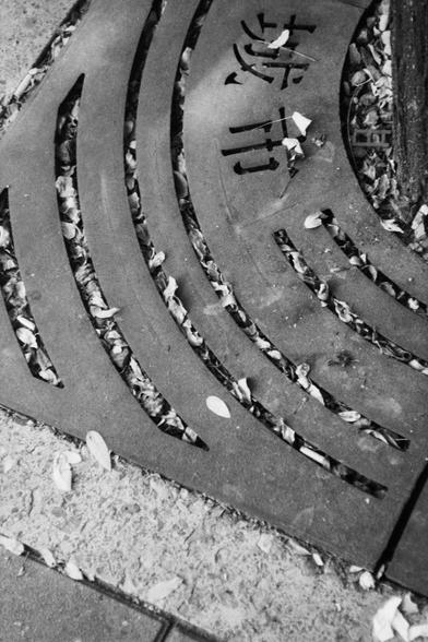 ERA 100 (FF)

English Alt Text:
A close-up black-and-white photo of a metal tree grate embedded in a sidewalk. The grate has curved slits and is filled with fallen leaves. Chinese characters “城市” (chéng shì), meaning “city,” are cut into the metal. The design is both functional and artistic, allowing water to reach tree roots while contributing to the urban aesthetic. The mix of natural debris and industrial design reflects city life.
中文替代文本：
这是一张黑白特写照片，展示嵌入人行道的金属树池盖。盖板上有弯曲的缝隙，落叶堆积其中。金属上镂空的“城市”…