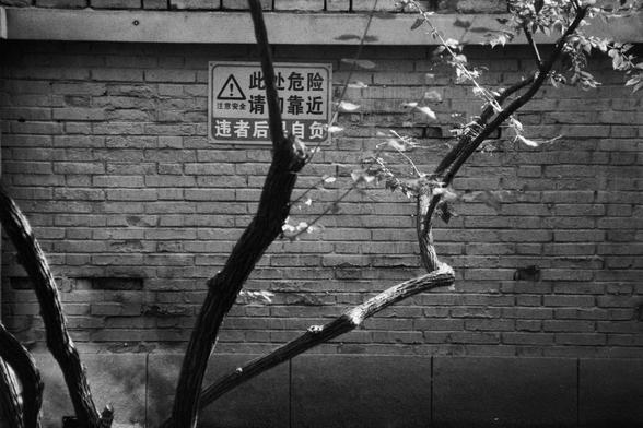 ERA 100 (FF)

English Alt Text:
A monochrome photograph shows a brick wall with a warning sign in Chinese. The sign features a triangle with an exclamation mark and reads: “Pay attention to safety. Danger here. Do not approach. Consequences are at your own risk.” A tree with twisted branches stands in the foreground, its silhouette casting shadows on the wall. The image conveys caution and urban tension through stark contrasts and layered textures.
中文替代文本：
这是一张黑白照片，画面中是一堵砖墙，墙上挂有中文警告牌，牌上有一个带感叹号的…