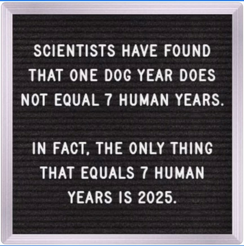 Scientists have found that one dog year does not equal 7 human years.

In fact, the only thing that equals 7 human years is 2025