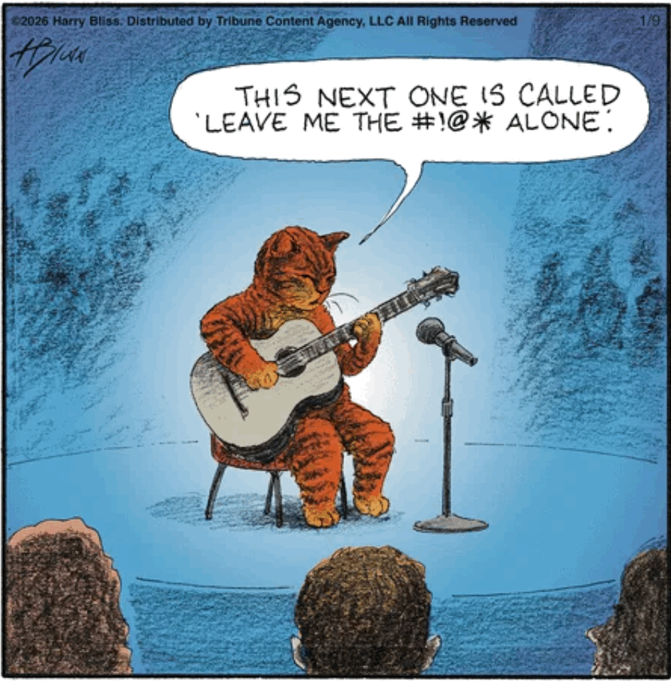 Single panel comic. A cat is sitting on a chair holding a guitar. There is a microphone on a stand in front of it. The cat is saying, “This next one is called ‘Leave Me the #!@* Alone.’”