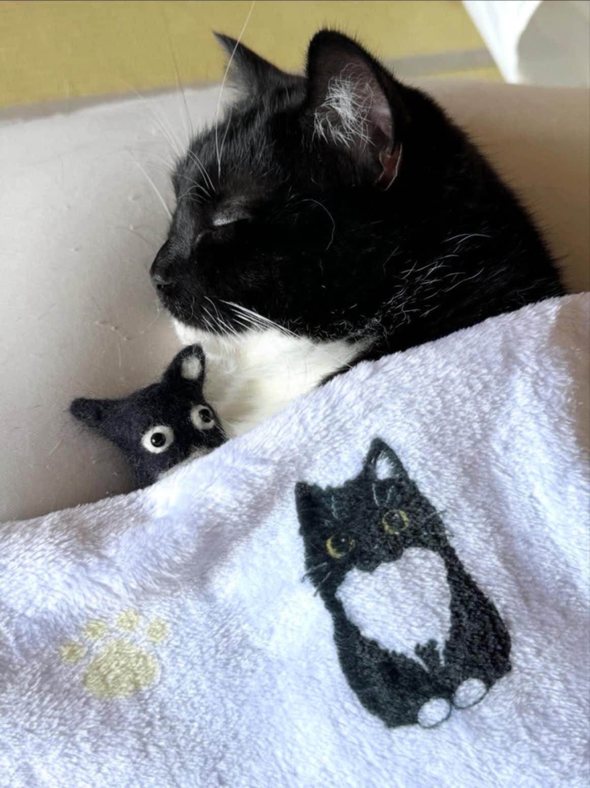 Sleeping kitty. Stuffed animal like kitty.