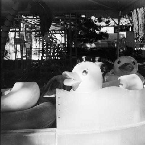 Lucky SHD 400 (6x6)

English Alt Text: A black-and-white image of a children’s amusement ride featuring large duck-shaped seats with cartoon-like features, including oversized eyes and beaks. The ducks are placed inside a circular ride enclosure resembling a tub or water-themed setting. Metal structures and a shaded canopy are visible in the background, indicating the ride is part of a larger fairground. The scene captures a playful and nostalgic moment in a public entertainment space.

中文替代文字：…